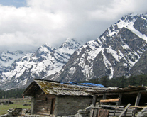 darjeeling