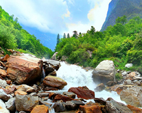 Exotic Himachal