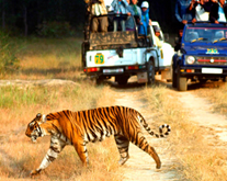 Exotic Uttarakhand