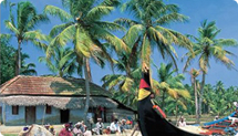International Tours